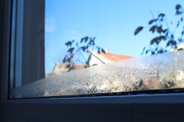 Wie erkenne ich zu hohe Luftfeuchtigkeit im Gebäude?