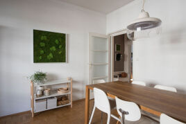 Moos Bilder