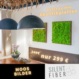 Moos Bild im Altholzrahmen