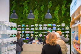 Verschiedene Mossarten für Ihre ganz eigene Mooswand