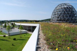 Optigrün-Naturdach - Der Gründachaufbau für mehr Artenvielfalt in den Städten
