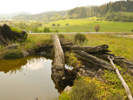 BauderGREEN