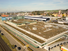 Bauder Biotop