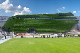 Eine grüne Insel im Zentrum von Düsseldorf – Gebäudebegrünung macht’s möglich