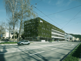 URBAN GARDENING - Pflanzen-Fassade
