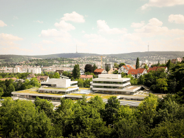 BauderGREEN