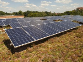 Photovoltaik auf Gründächern