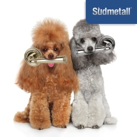 Zum Fressen schön!