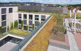 Optigrün-Fassadenbegrünung - ausgereifte Systeme für eine nachhaltige Stadtentwicklung💚🌿