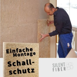 Einfache Montage Schallschutz