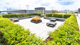 In Zusammenarbeit mit der Gartenhof Küsters GmbH, wurden die Dächer der GfA Elektromaten GmbH mit dem System Gartendach begrünt.