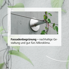 Fassadenbegrünung - nachhaltig und gut fürs Klima