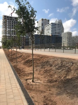 Casablanca Finance City (CFC)