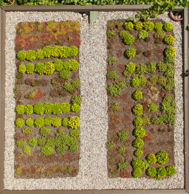 Bauder Gründach