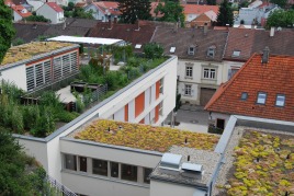 Kein Platz für einen Garten?