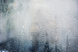 Entwässerung & Dichtung 💧