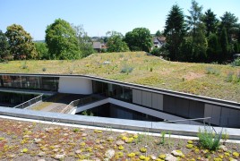 SAP - St. Ingbert
