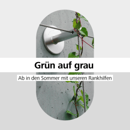 Das passende Produkt zur Sommerzeit 🌻