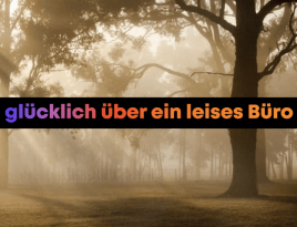 Mehr Ruhe im Büro