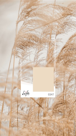 „Boho“ – der neue Einrichtungstrend