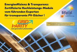 Doppelglas PV Module von GridParity ☀️