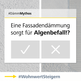 #DämmMythos: Eine Fassadendämmung sorgt für Algenbefall ❗❓