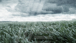 LAMILUX insights – Der Klimawandel und Extremwetterereignisse: einfach erklärt