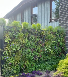 Erleben Sie die Zukunft des Gartendesigns – mit der RANKO Pflanzen-Gabione!
