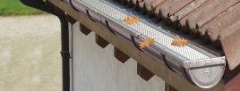 Dachrinnenschutz Gutter Stark® - Dachrinne reinigen ohne Leiter