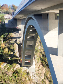 🏛 Ammerbrücke: Sanierung unter Denkmal- und Artenschutz