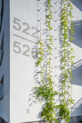 Mehr Grün im Großstadtjungel mit StoFix Iso-Bar ECO 🌿🐞