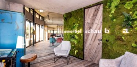 Showroom Salzburg