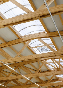 🌿 Grün Bauen, Bunt Leben: Die Kinskofer Holzhaus GmbH und ihre LIGNA Holzhalle 🏡