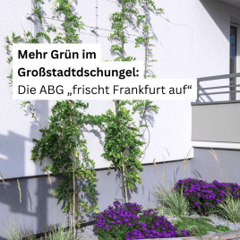 🌱🏠 Einfache Fassadenbegrünung mit dem StoFix Iso-Bar ECO