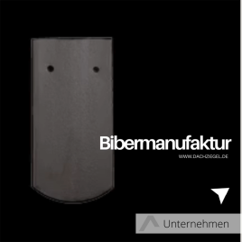 Biber aus Langenzenn