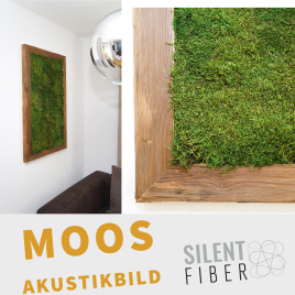 Moos: sieht toll aus und verbessert die Raumakustik