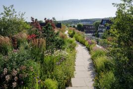 Deck Twenty One – die Düsseldorfer Arbeitsoase mit einem Gartendach von Optigrün.