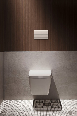 WC-Betätigung TECEsquare Glas satiniert!