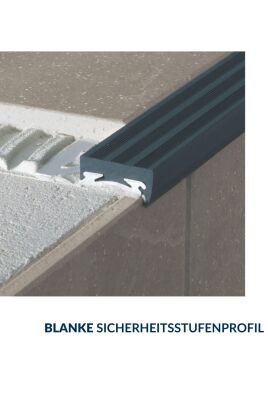 BLANKE SICHERHEITSSTUFENPROFIL