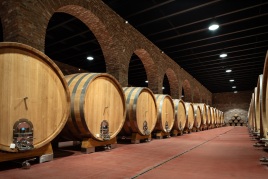 🍷 Weingut baut auf PU-Beton
