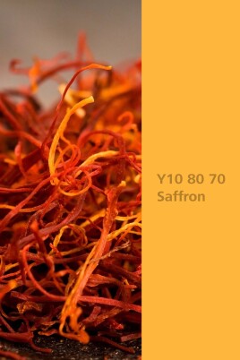 🔥🌶️ Innenraumgestaltung mit Naturfarbtönen