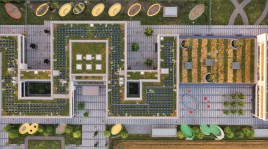 Grünes Energiedach - die F.A.Z. beleuchtet die vielen Vorteile von Solargründächern