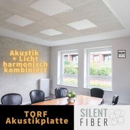 Hall im Besprechungsraum eliminiert: mit einfacheien Mitteln zu einer hervorragenden Akustik