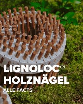 LIGNOLOC® Holznägel