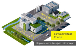 Schwammstadt-Prinzip: Mit Zisternen blau-grüne Infrastrukturen stärken