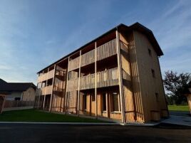 Nachhaltiges LCLT-Projekt mit LIGNOLOC® Holznägeln 🏡