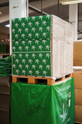 🌿 Ein Blick hinter die Kulissen bei Silent Fiber! 🌿