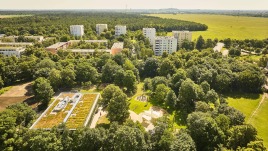 Dachbegrünungen im Einklang mit der Natur.