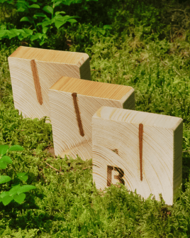 Reine Holz-zu-Holz-Verbindungen – nachhaltig und innovativ 🌿