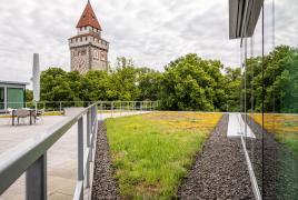 Das Optigrün Spardach – pflegeleicht & kostengünstig